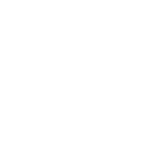 Wells Fargo_White Wells Fargo_White